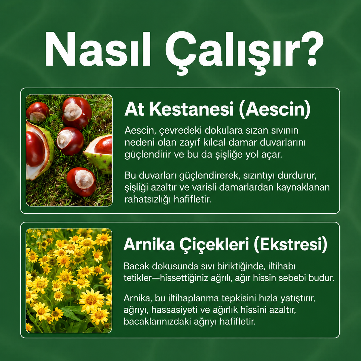 Sorviq Mucize Balsamı™ | Bitkisel Bacak Bakım Balsamı