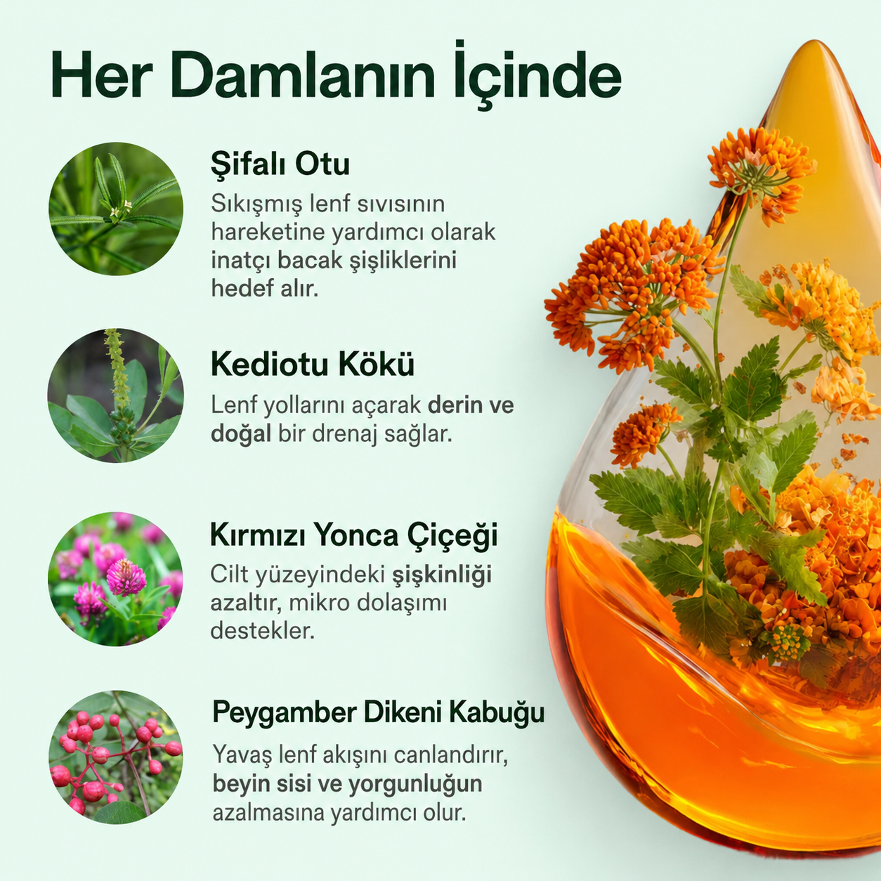 16 gün veya daha kısa sürede hafiflik hissi ve şişliğin azalması.