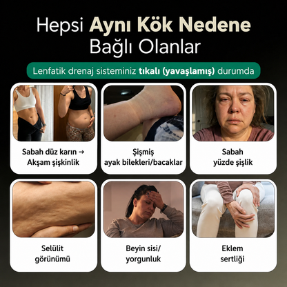 Sculptique™'in Yeni Maksimum Etkinlik Formülü - Lenfatik Drenaj Kapsülleri